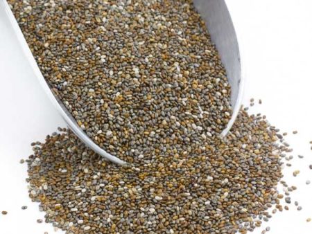 Chia Seeds Organic 1lb *TPR* Online Hot Sale