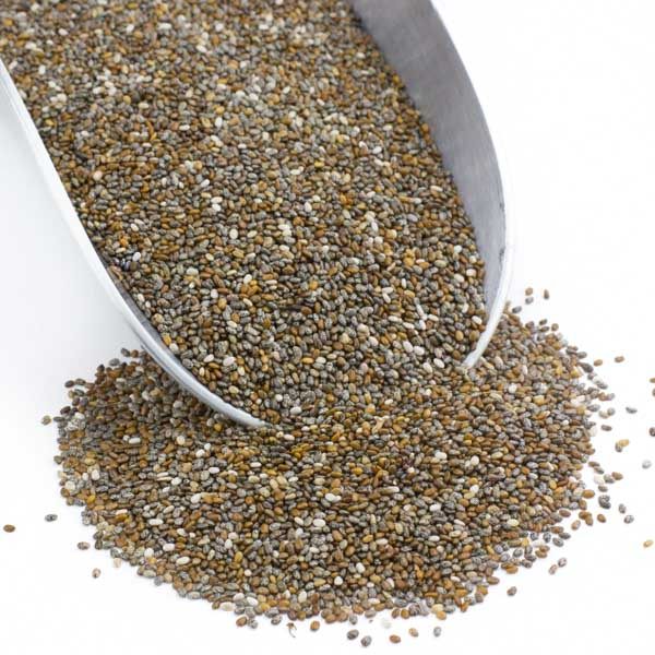 Chia Seeds Organic 1lb *TPR* Online Hot Sale