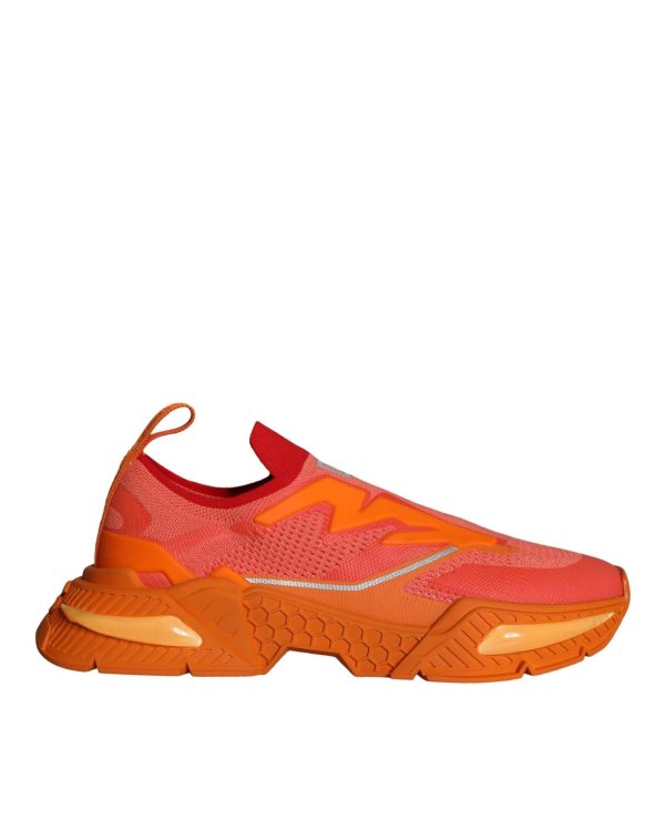 Dolce & Gabbana  Portofino Sneakers - Orange Online Hot Sale