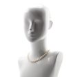 David Yurman Sterling Silver Pearl & Diamond Buckle Necklace Fashion