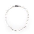 David Yurman Sterling Silver Pearl & Diamond Buckle Necklace Fashion