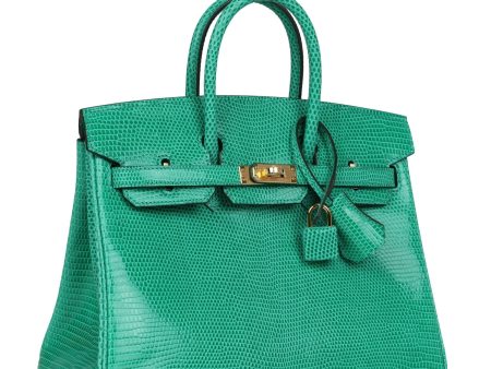 Hermes Birkin 25 Menthe Varanus Niloticus Lizard Gold Hardware Online Sale