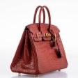 Hermes Birkin 25 Rouge H Verso Orange Alligator Gold Hardware on Sale