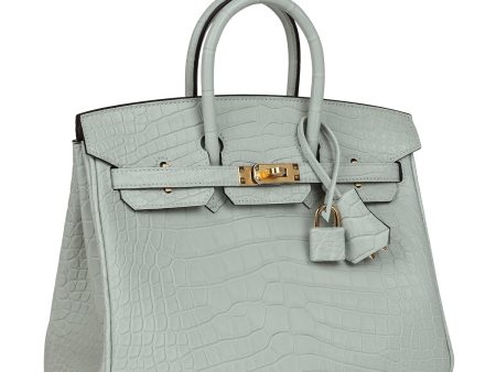 Hermes Birkin 25 Gris Neve Matte Alligator Gold Hardware Online Hot Sale