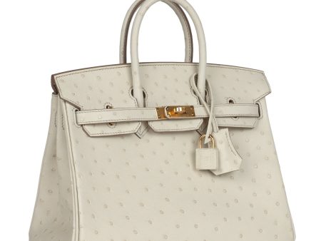 Hermes Birkin 25 Beton Ostrich Gold Hardware Hot on Sale