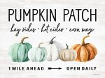 LET254 - Pumpkin Patch - 16x12 Cheap